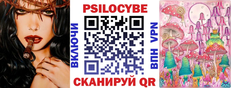 где продают   Торжок  Галлюциногенные грибы мицелий 
