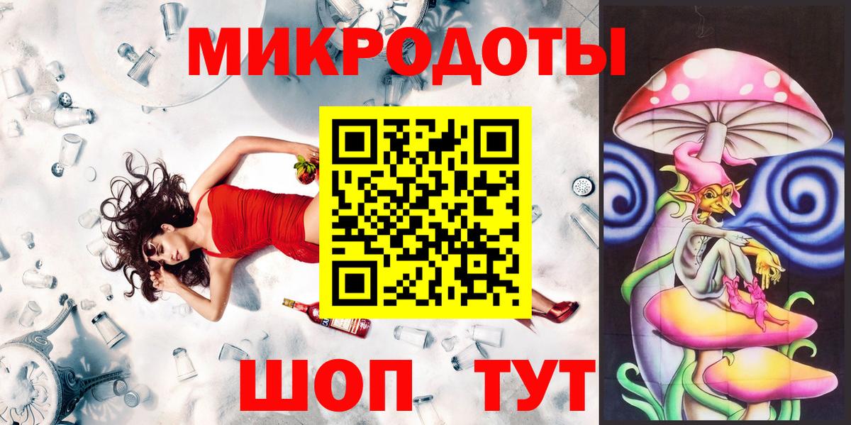 Псилоцибиновые грибы Psilocybe Торжок